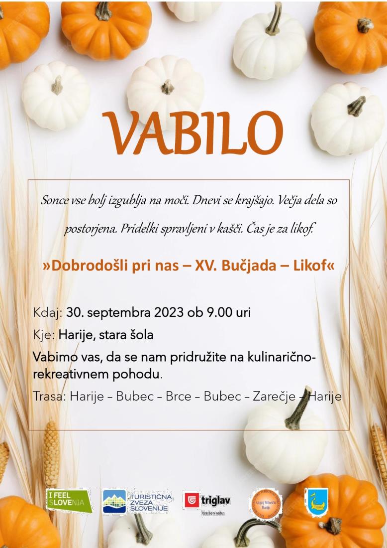XV. Bučjada